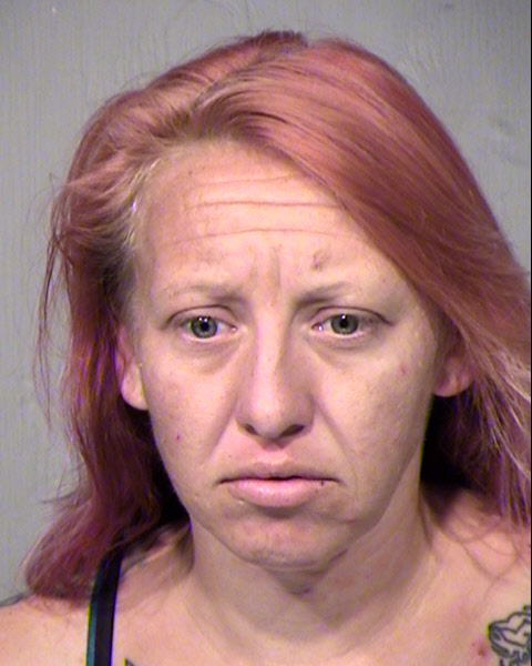 LISA ANN DANIELS Mugshot / Maricopa County Arrests / Maricopa County Arizona