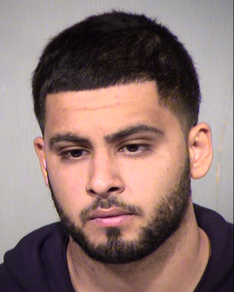 SEVAN R ARMINAK Mugshot / Maricopa County Arrests / Maricopa County Arizona