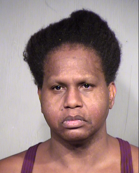 TERENCE M CONNELLY Mugshot / Maricopa County Arrests / Maricopa County Arizona