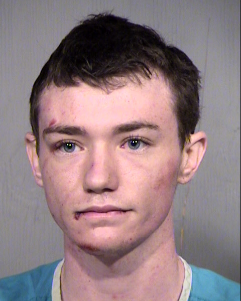 DAKOTA LEE RYAN Mugshot / Maricopa County Arrests / Maricopa County Arizona