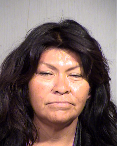 ROSE MARIE PINKERTON Mugshot / Maricopa County Arrests / Maricopa County Arizona
