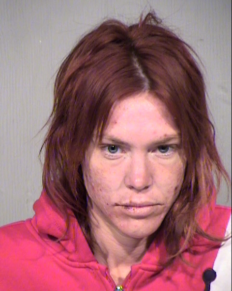 CHRISTINE LYN MILLER Mugshot / Maricopa County Arrests / Maricopa County Arizona