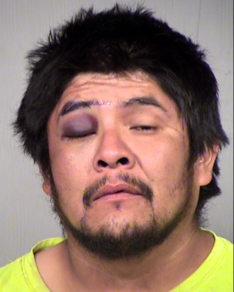 LEANDREW JENSEN Mugshot / Maricopa County Arrests / Maricopa County Arizona