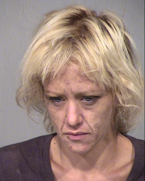 ELLEN LOUISE GOOD Mugshot / Maricopa County Arrests / Maricopa County Arizona
