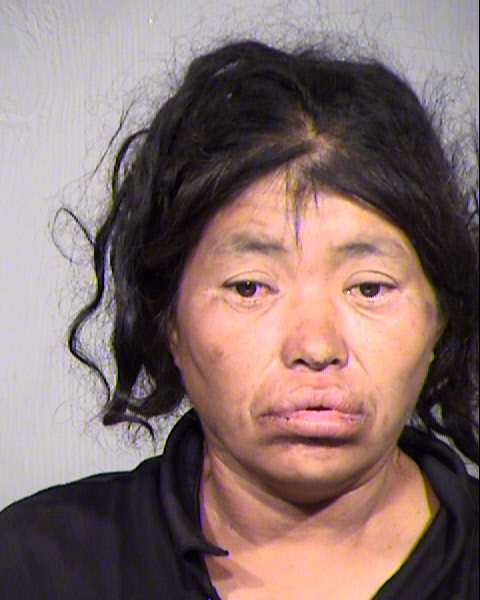 JEANITA REDHOUSE Mugshot / Maricopa County Arrests / Maricopa County Arizona