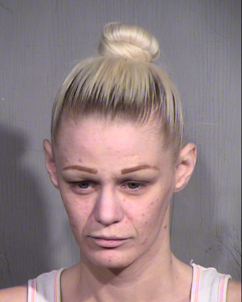 TAMARA L HEINSEN Mugshot / Maricopa County Arrests / Maricopa County Arizona