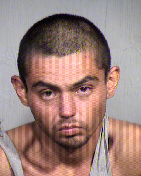 DAVID CHRISTOPHER NEAL Mugshot / Maricopa County Arrests / Maricopa County Arizona