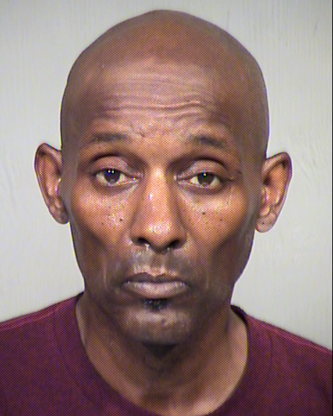 MICHAEL L LEE Mugshot / Maricopa County Arrests / Maricopa County Arizona