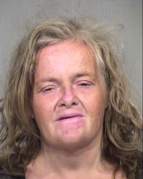 TERESA A COLLINS Mugshot / Maricopa County Arrests / Maricopa County Arizona