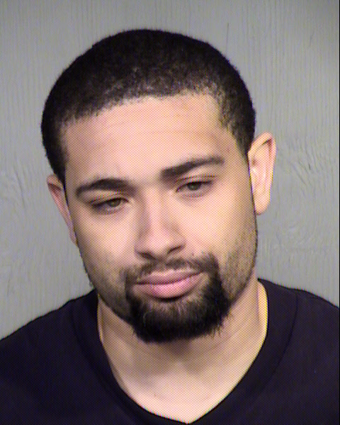 JOSHUA S ZERLAK Mugshot / Maricopa County Arrests / Maricopa County Arizona