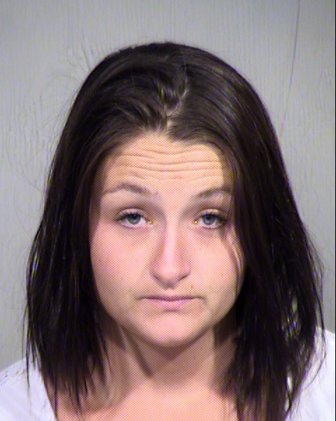 MISTY DAWN WENDT Mugshot / Maricopa County Arrests / Maricopa County Arizona
