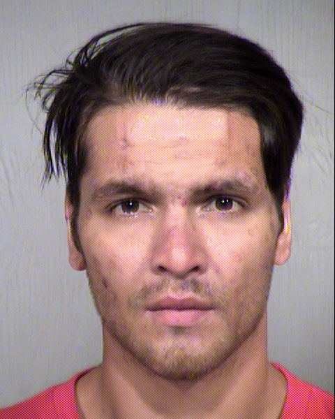 DANIEL ROBERT MCDONALD Mugshot / Maricopa County Arrests / Maricopa County Arizona