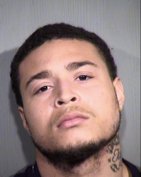 TERREN DANDRE HAYNES Mugshot / Maricopa County Arrests / Maricopa County Arizona
