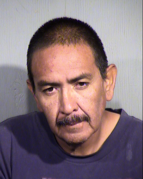 JOHNNY PAUL HOLLISTER Mugshot / Maricopa County Arrests / Maricopa County Arizona