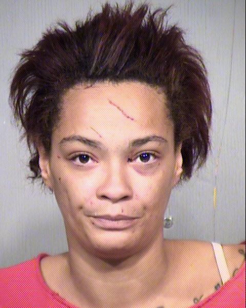 WHITNEY L RANSOM Mugshot / Maricopa County Arrests / Maricopa County Arizona