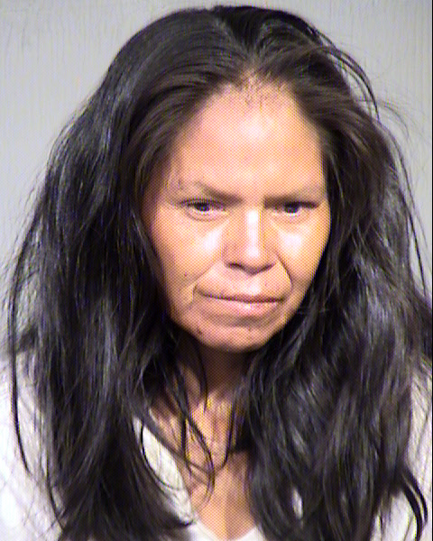 MISTY L CLY Mugshot / Maricopa County Arrests / Maricopa County Arizona