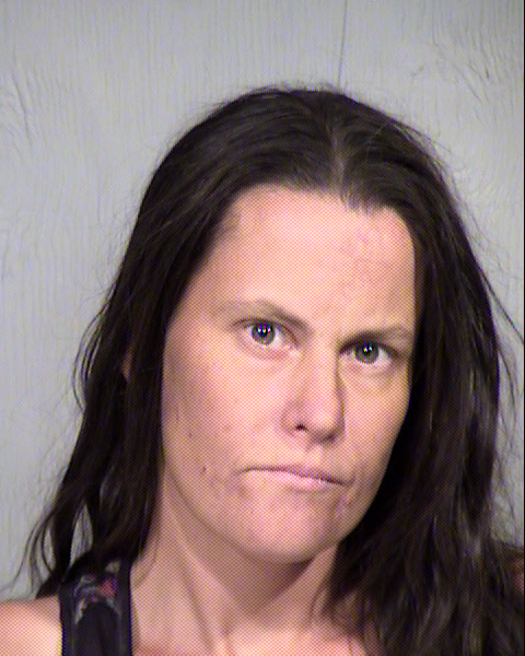 ERIN LEE GREEN Mugshot / Maricopa County Arrests / Maricopa County Arizona