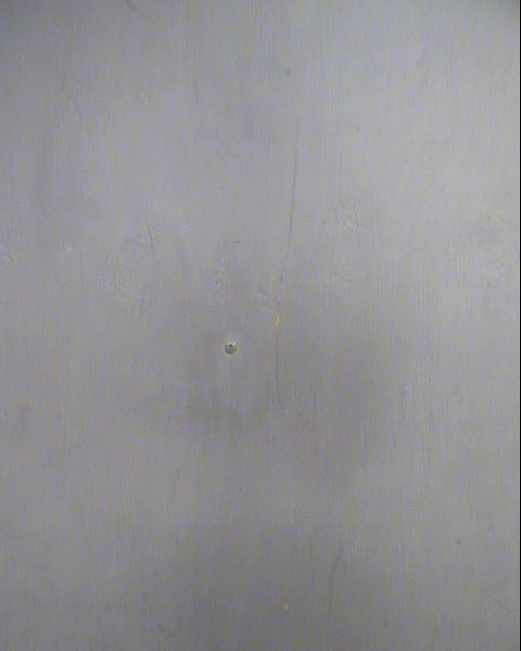 JOSEPH FORET FLOREZ Mugshot / Maricopa County Arrests / Maricopa County Arizona Arrests JOSEPH FORET FLOREZ Mugshot / Maricopa County Arrests / Maricopa County Arizona