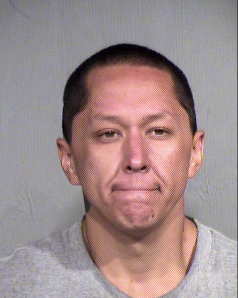 JOHN MICHAEL ROBINSON Mugshot / Maricopa County Arrests / Maricopa County Arizona