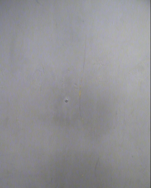 ERIKA ADRIANA MACIAS Mugshot / Maricopa County Arrests / Maricopa County Arizona