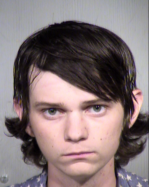 TYLER ROBERT HARBAUGH Mugshot / Maricopa County Arrests / Maricopa County Arizona
