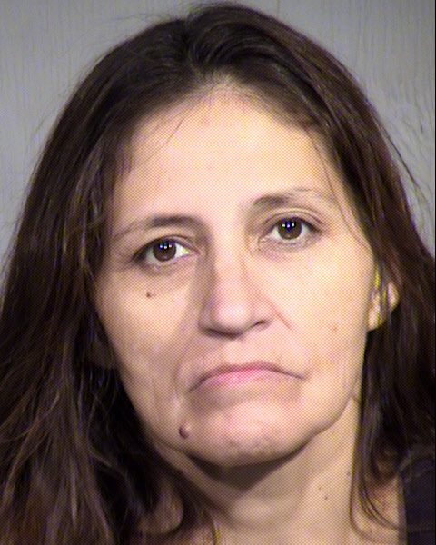 SHIRLEY J MECKLENBURG Mugshot / Maricopa County Arrests / Maricopa County Arizona