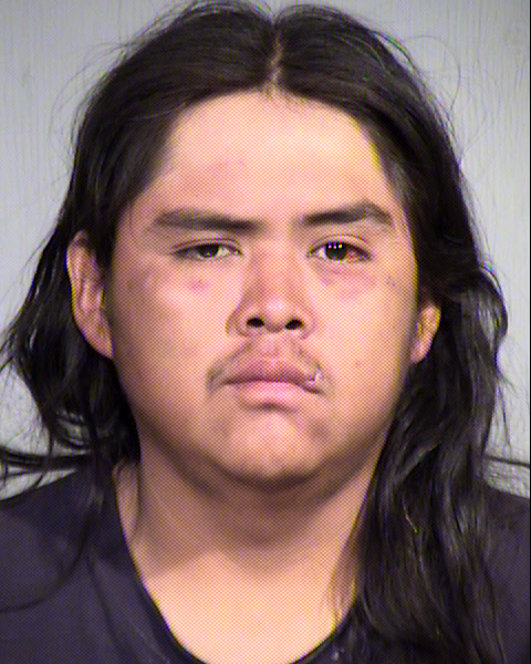 RYAN AARON ADISON Mugshot / Maricopa County Arrests / Maricopa County Arizona