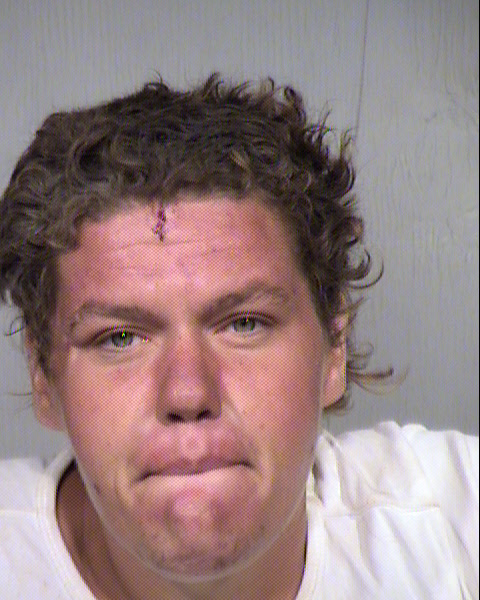 LEAH DIANE GRANVILLE Mugshot / Maricopa County Arrests / Maricopa County Arizona
