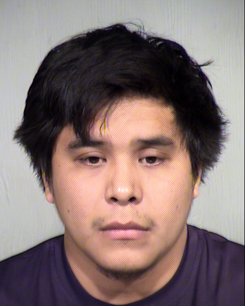 DARRIEN SAIGE TANNER Mugshot / Maricopa County Arrests / Maricopa County Arizona