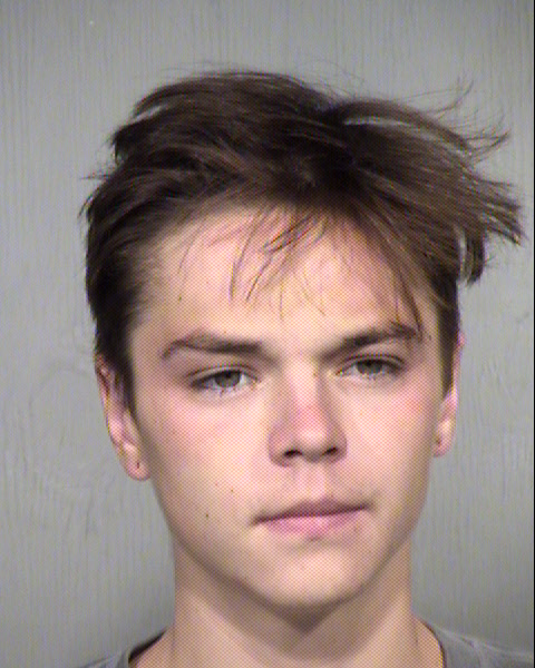 TYLER DOMINIC GOUSE Mugshot / Maricopa County Arrests / Maricopa County Arizona