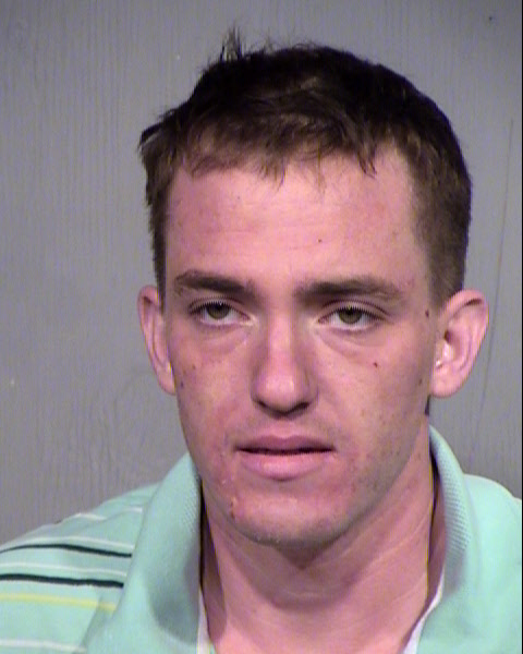 GREGORY NATHAN LEVY Mugshot / Maricopa County Arrests / Maricopa County Arizona