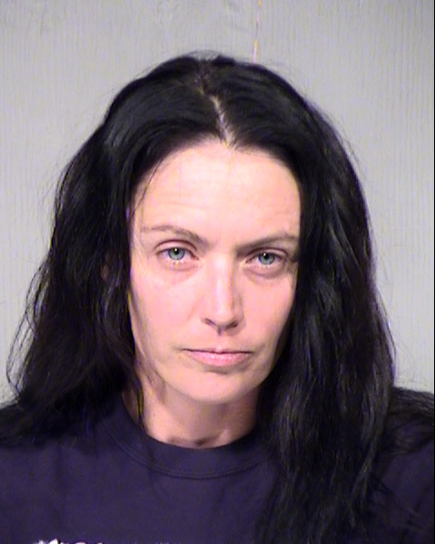 TAMARA ANN BAUMGARTNERHANSEN Mugshot / Maricopa County Arrests / Maricopa County Arizona