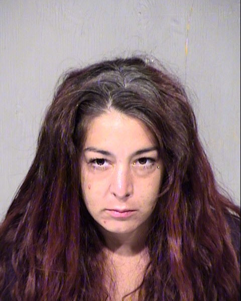 KRISTIN NICOLE IRELAND Mugshot / Maricopa County Arrests / Maricopa County Arizona