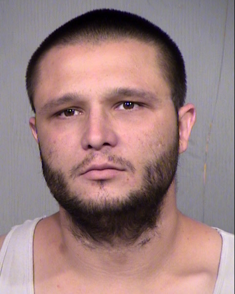 WILLIAM JAMES SINGLETON Mugshot / Maricopa County Arrests / Maricopa County Arizona