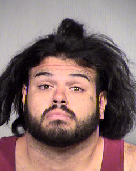 TRACEY ISAIAH HERREBOWERS Mugshot / Maricopa County Arrests / Maricopa County Arizona