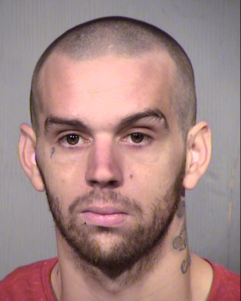 TRAVIS W HARRISON Mugshot / Maricopa County Arrests / Maricopa County Arizona