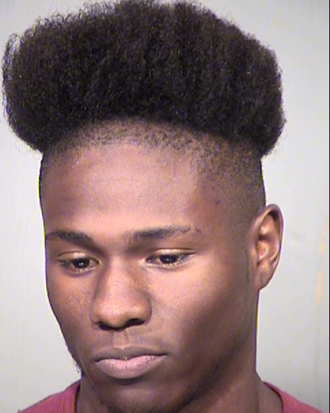 ROBERT LEE JOHNSON Mugshot / Maricopa County Arrests / Maricopa County Arizona