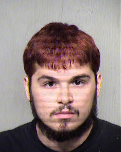 ANTHONY JOSEPH OLIVAREZ FISH Mugshot / Maricopa County Arrests / Maricopa County Arizona