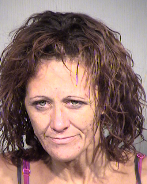 ERICA ANNE EVERETT Mugshot / Maricopa County Arrests / Maricopa County Arizona