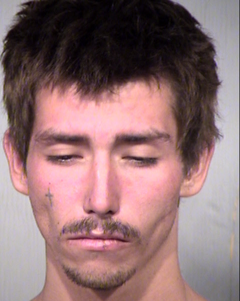 JAKE LOUREN GREENING Mugshot / Maricopa County Arrests / Maricopa County Arizona