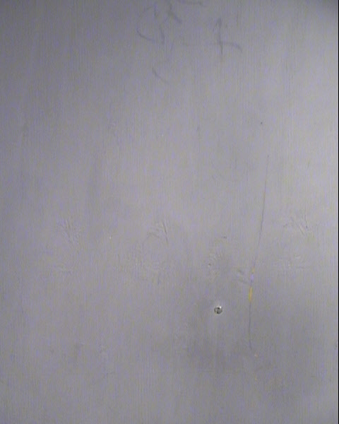 PRISCILLA DORE VILLAVERDE Mugshot / Maricopa County Arrests / Maricopa County Arizona