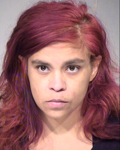 ROBERTA NICHOL GAVINA Mugshot / Maricopa County Arrests / Maricopa County Arizona