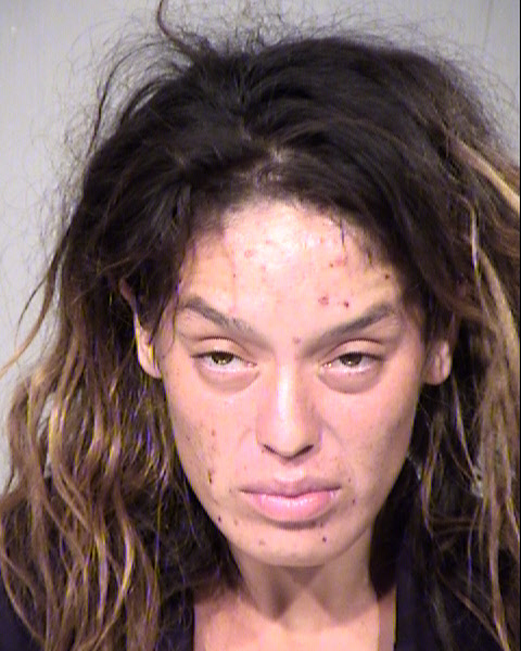 LILLIANA ESTHER YOUNG Mugshot / Maricopa County Arrests / Maricopa County Arizona