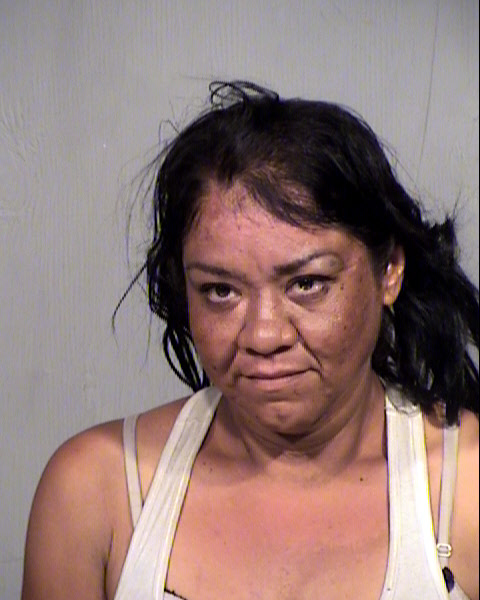 MARLENA LOUISE SAGARNAGA Mugshot / Maricopa County Arrests / Maricopa County Arizona