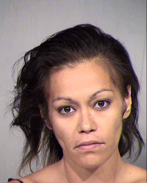 VIKI ANN SOLOMON Mugshot / Maricopa County Arrests / Maricopa County Arizona