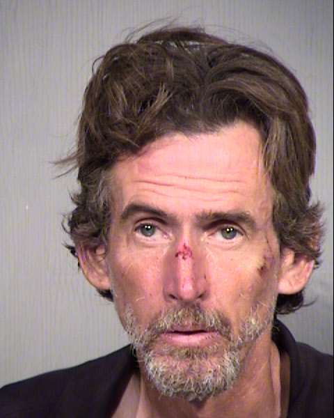 TRAVIS STEVEN WHEELER Mugshot / Maricopa County Arrests / Maricopa County Arizona