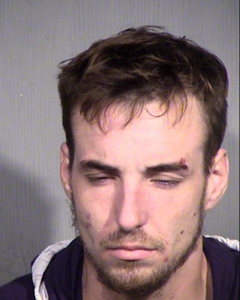 BRANDON MICHAEL SMITH Mugshot / Maricopa County Arrests / Maricopa County Arizona