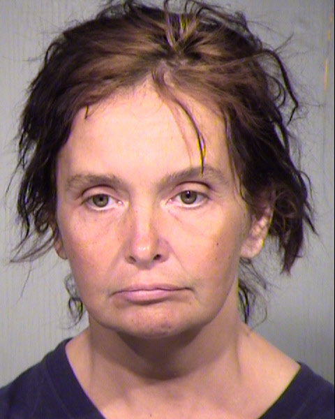 MICHELLE E HUNTER Mugshot / Maricopa County Arrests / Maricopa County Arizona