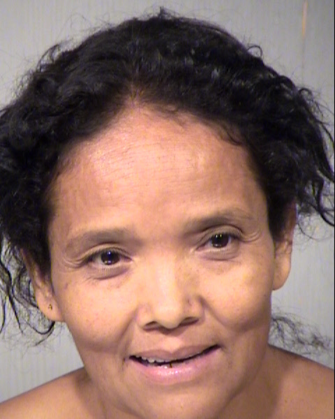 ESTEFANIA DIAZ Mugshot / Maricopa County Arrests / Maricopa County Arizona