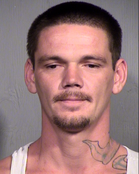 SHAWN THOMAS LEE Mugshot / Maricopa County Arrests / Maricopa County Arizona